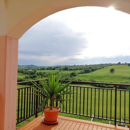 Agriturismo Verdicchio Scansano Exterior foto