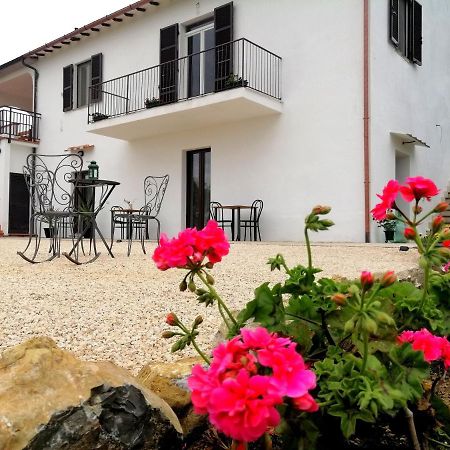 Agriturismo Verdicchio Scansano Exterior foto