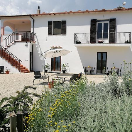 Agriturismo Verdicchio Scansano Exterior foto