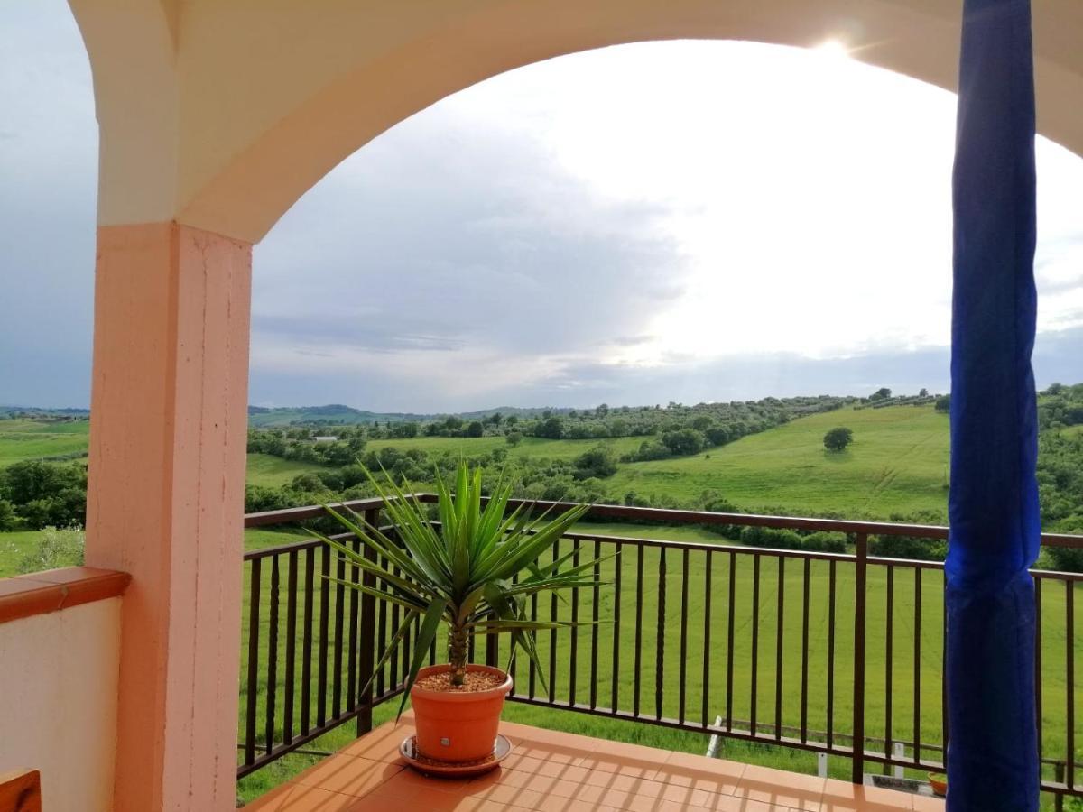Agriturismo Verdicchio Scansano Exterior foto