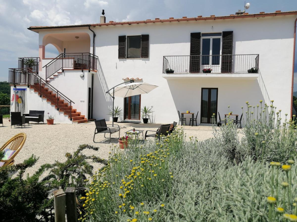 Agriturismo Verdicchio Scansano Exterior foto